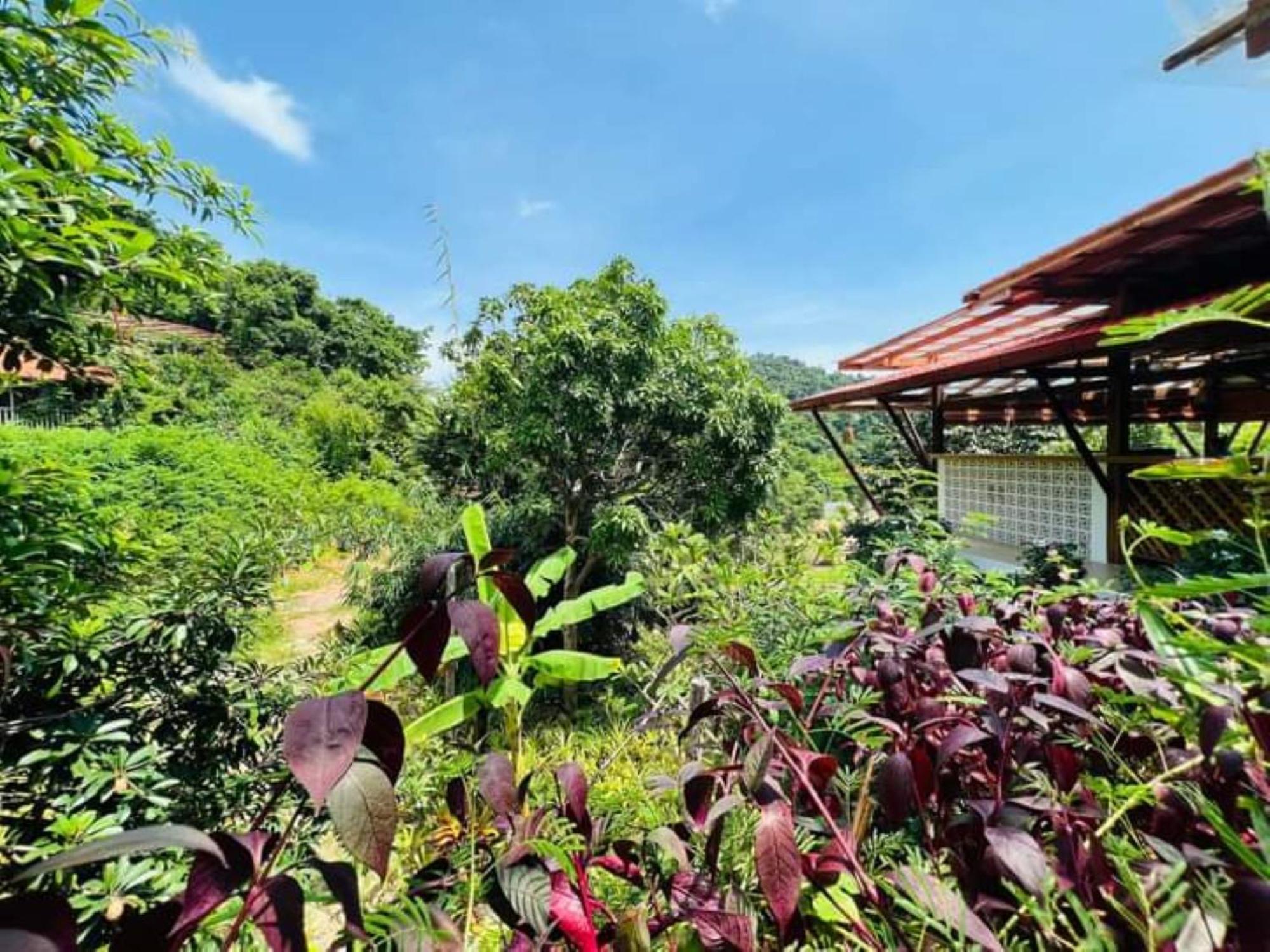 Veranda Natural Resort Kep Bagian luar foto